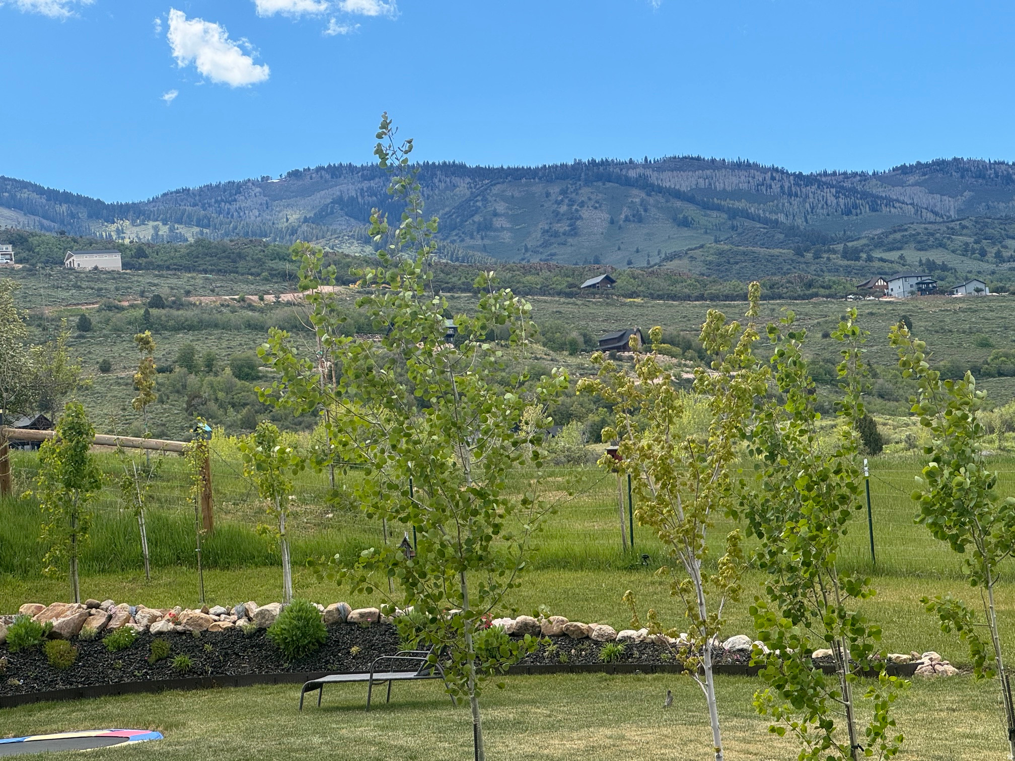 SWAN CREEK PLAT 1 - Land