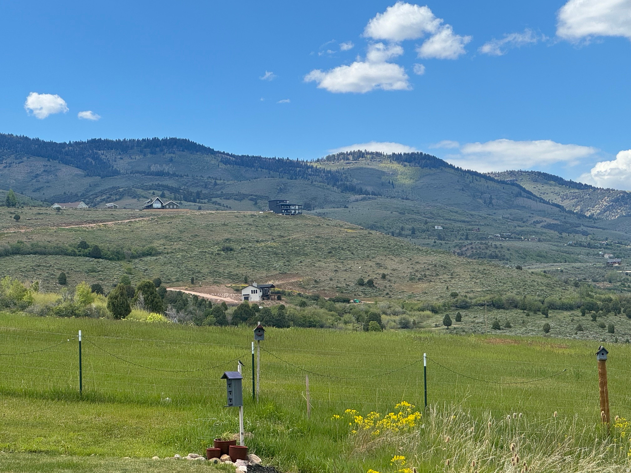 SWAN CREEK PLAT 1 - Land