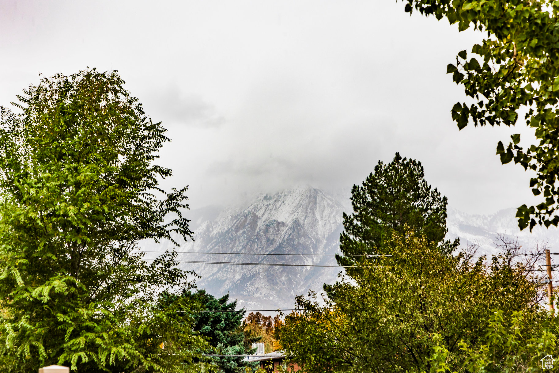 264 E Ailee Ln, Salt Lake City, Utah image 33