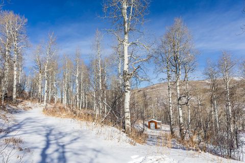 Tiny photo for 11708 CANYON RIM RD #194, Oakley, UT 84055 (MLS # 2127208)