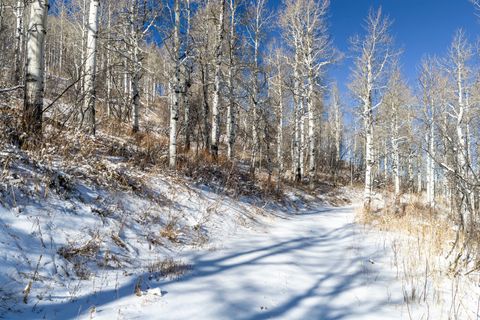Tiny photo for 11708 CANYON RIM RD #194, Oakley, UT 84055 (MLS # 2127208)