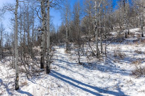 Tiny photo for 11708 CANYON RIM RD #194, Oakley, UT 84055 (MLS # 2127208)