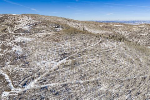 Tiny photo for 11708 CANYON RIM RD #194, Oakley, UT 84055 (MLS # 2127208)