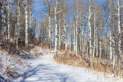 Tiny photo for 11708 CANYON RIM RD #194, Oakley, UT 84055 (MLS # 2127208)