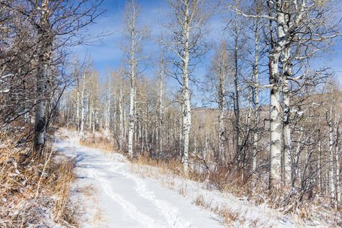 Tiny photo for 11708 CANYON RIM RD #194, Oakley, UT 84055 (MLS # 2127208)