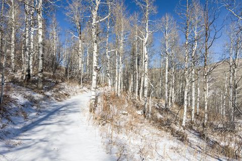 Tiny photo for 11708 CANYON RIM RD #194, Oakley, UT 84055 (MLS # 2127208)