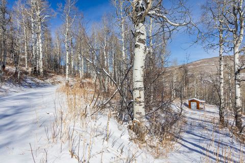 Tiny photo for 11708 CANYON RIM RD #194, Oakley, UT 84055 (MLS # 2127208)