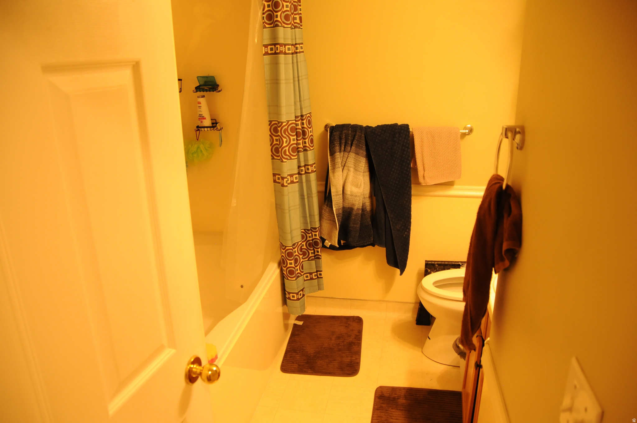 FRANKLIN PARK CONDO - Residential