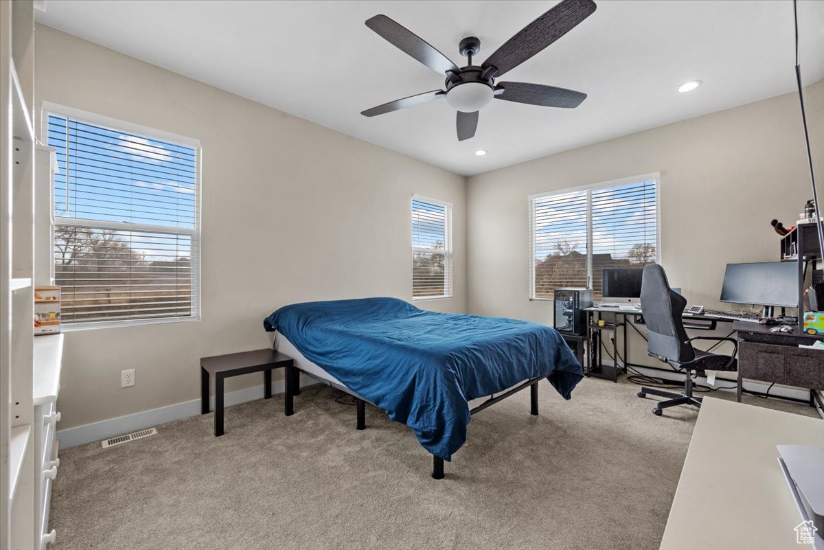 BRIDLE WALK - Residential