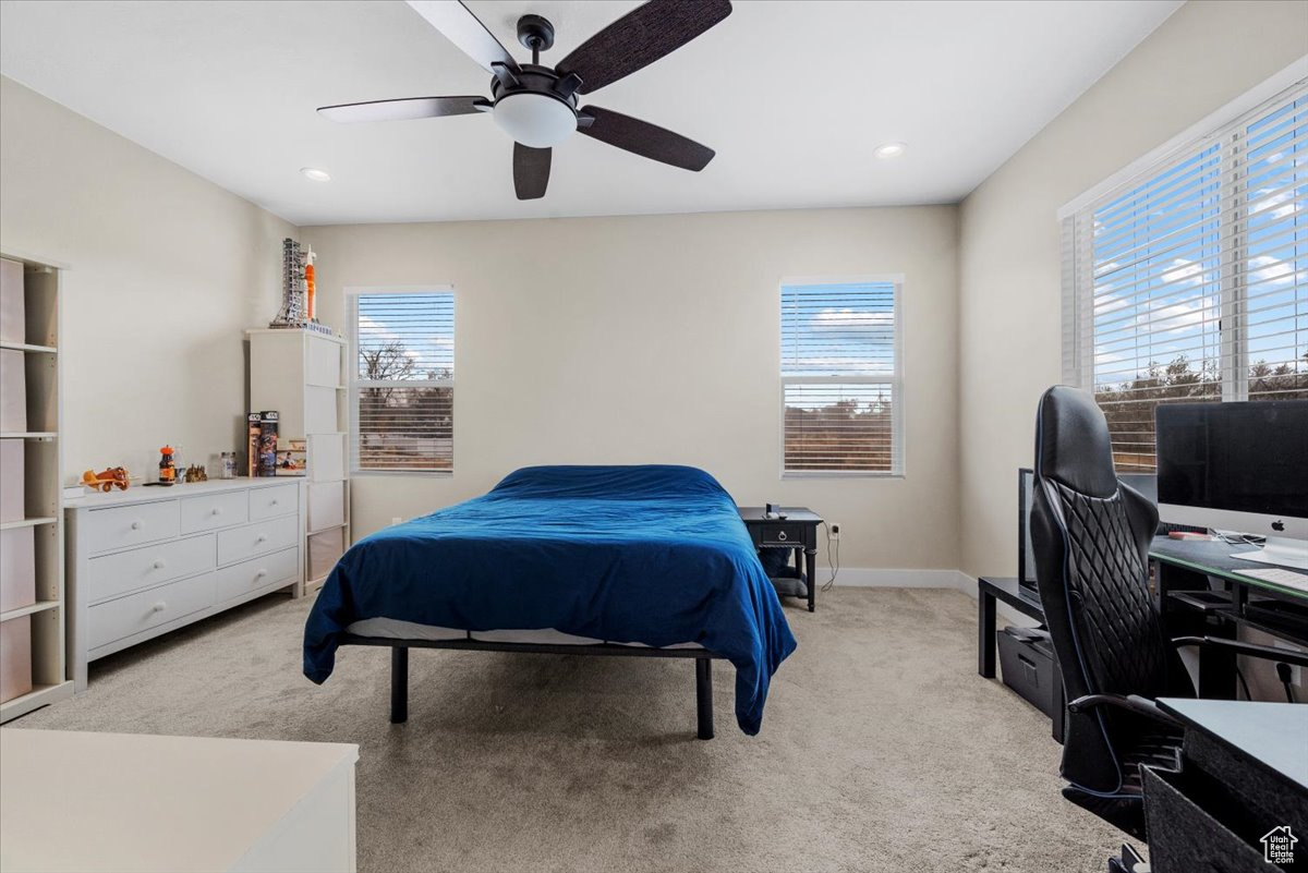 BRIDLE WALK - Residential