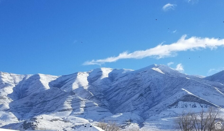 BRIDLE WALK - Residential