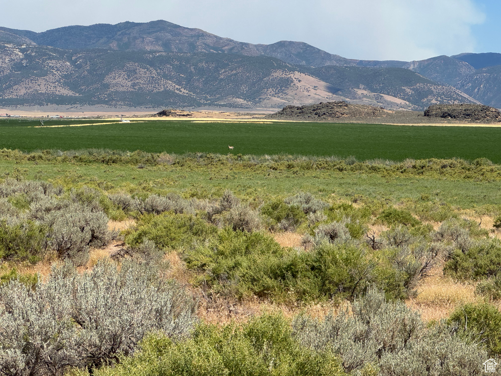 3-23-6, 4-23-6 - Land