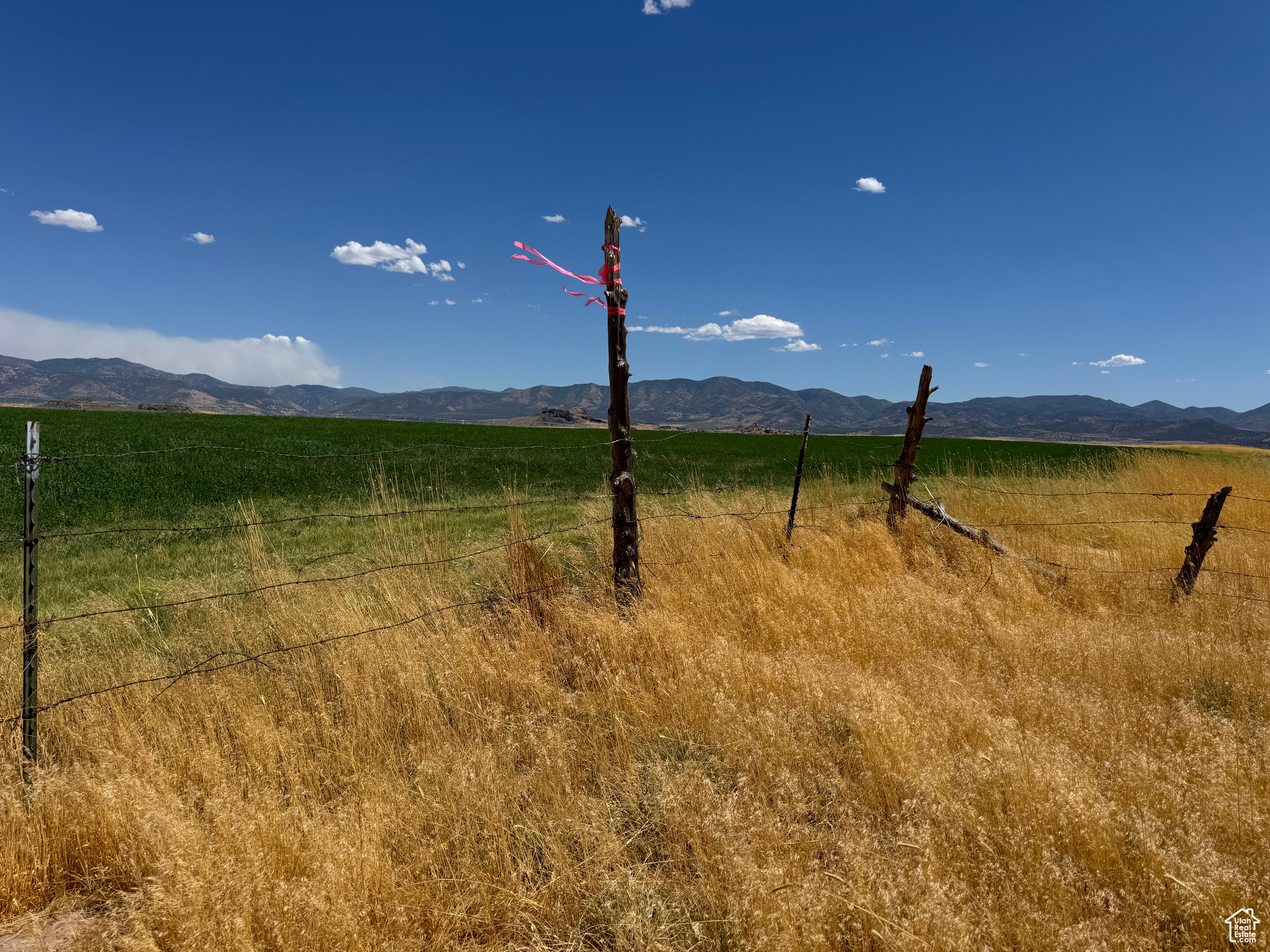 3-23-6, 4-23-6 - Land