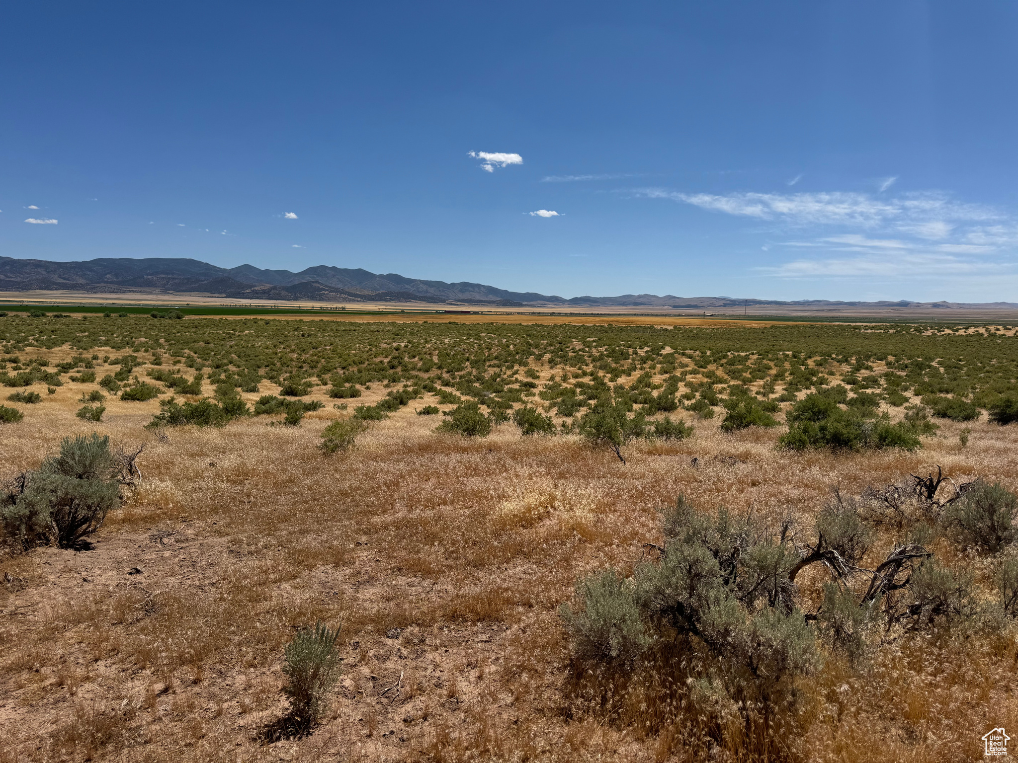 3-23-6, 4-23-6 - Land