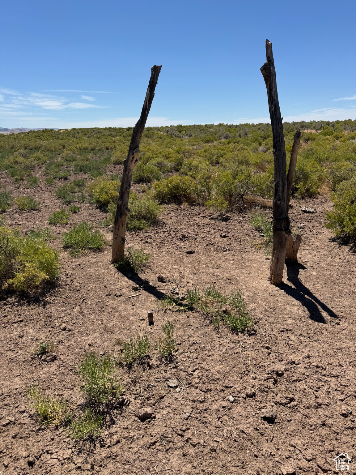 3-23-6, 4-23-6 - Land