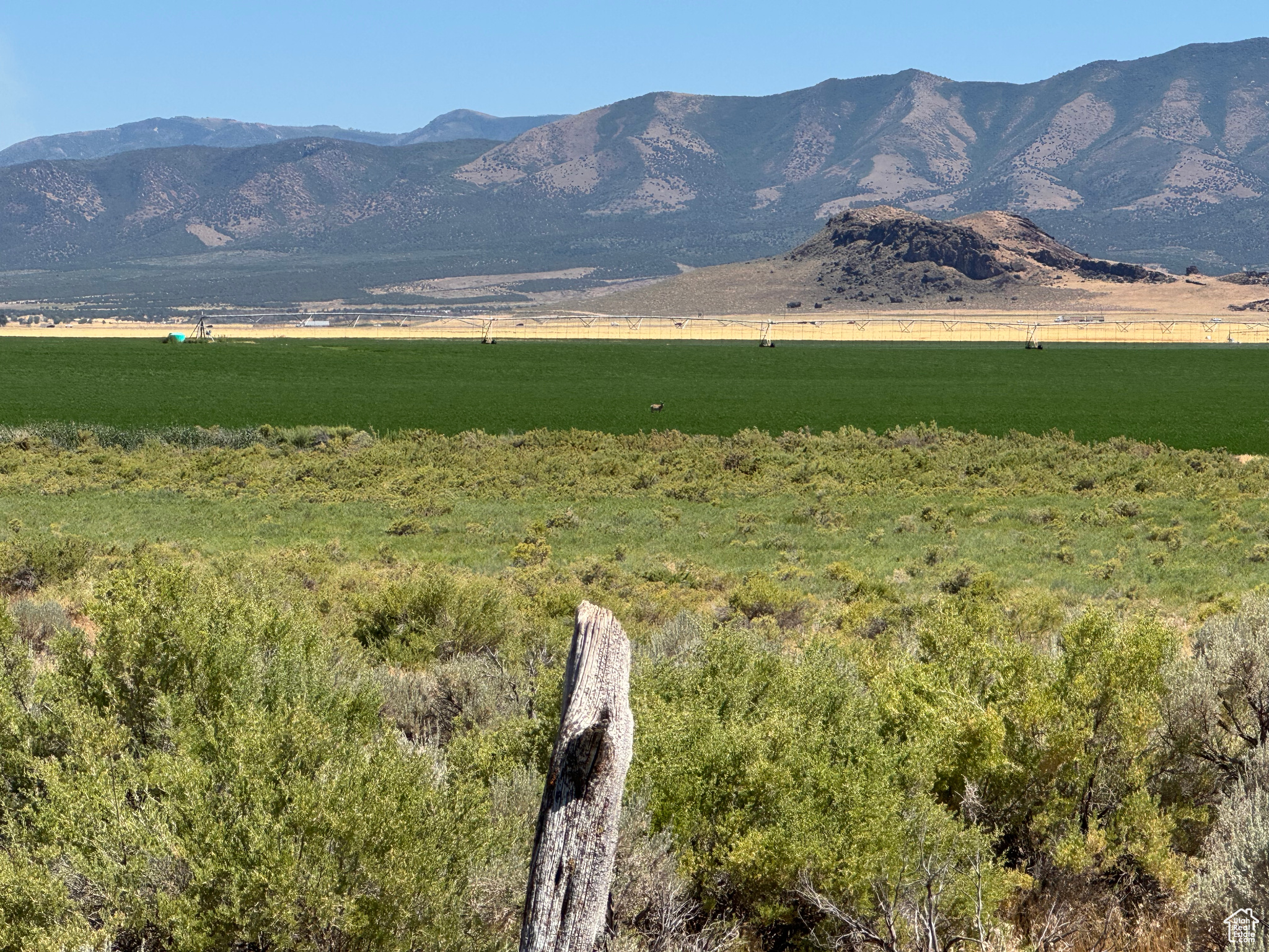 3-23-6, 4-23-6 - Land