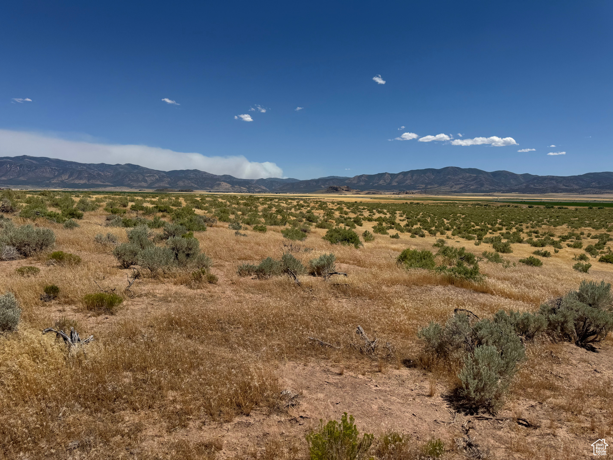 3-23-6, 4-23-6 - Land