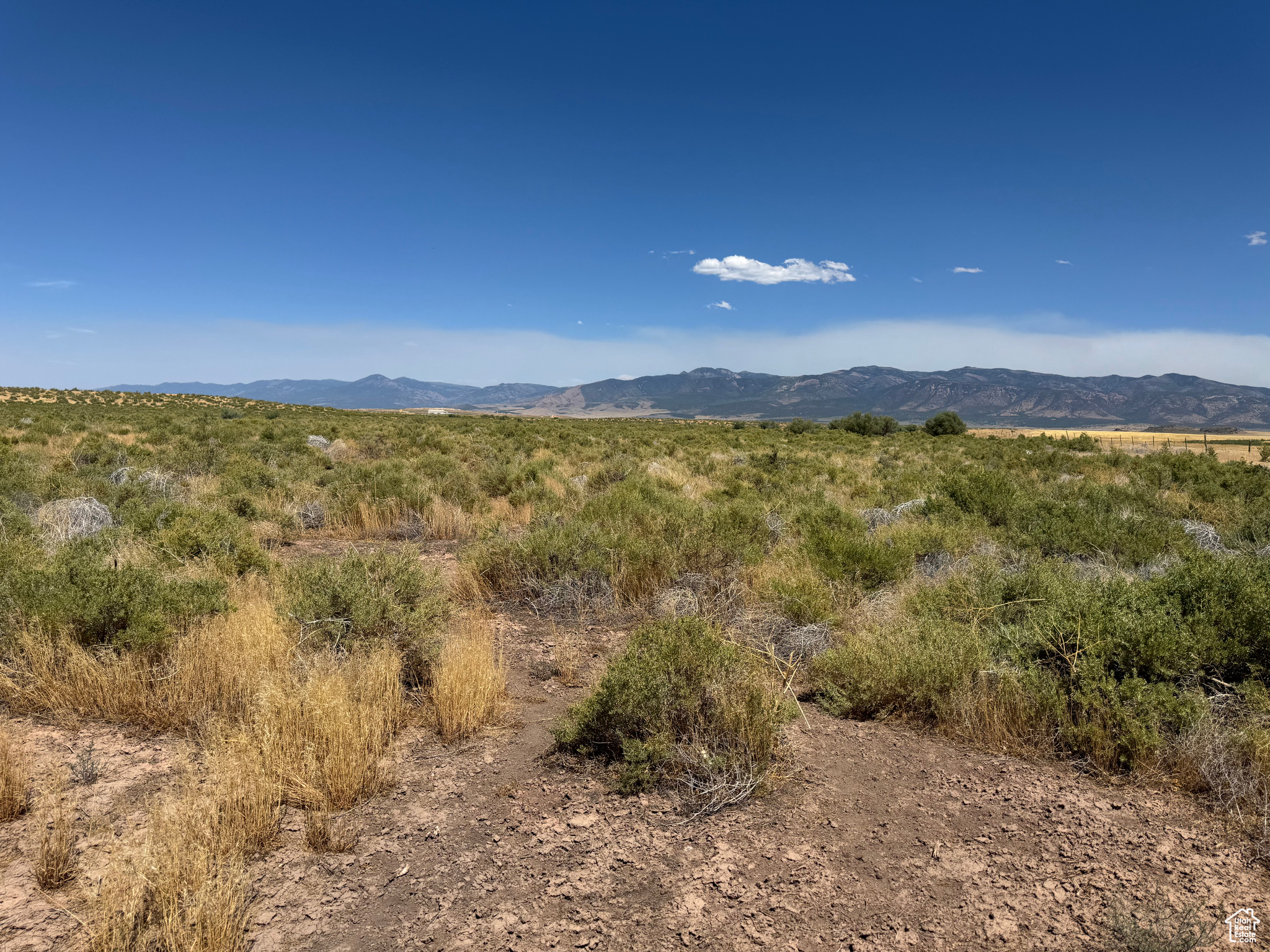 3-23-6, 4-23-6 - Land