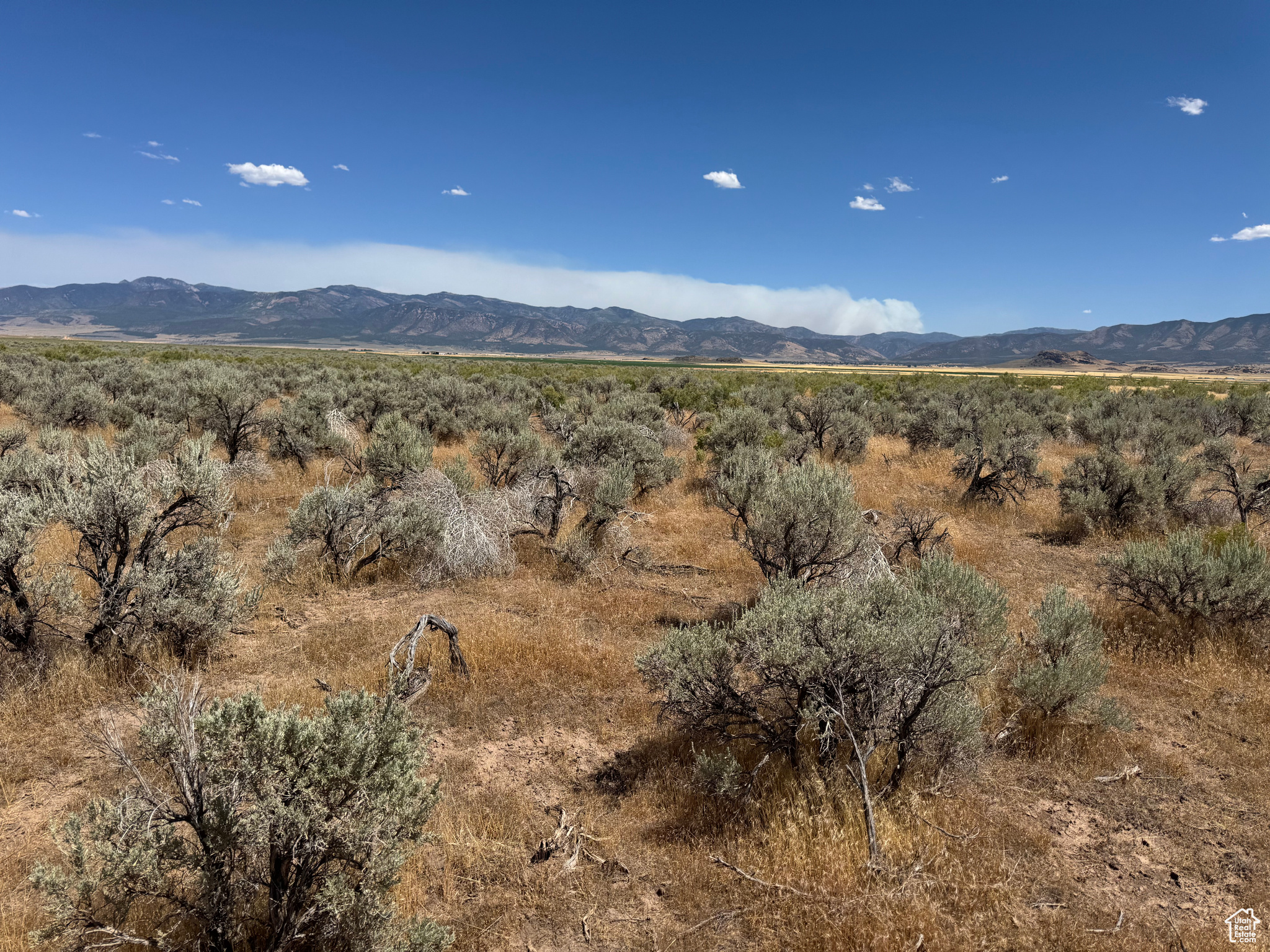 3-23-6, 4-23-6 - Land