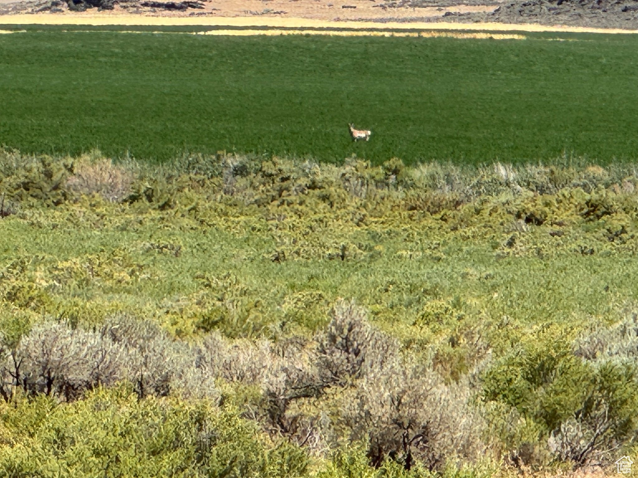 3-23-6, 4-23-6 - Land