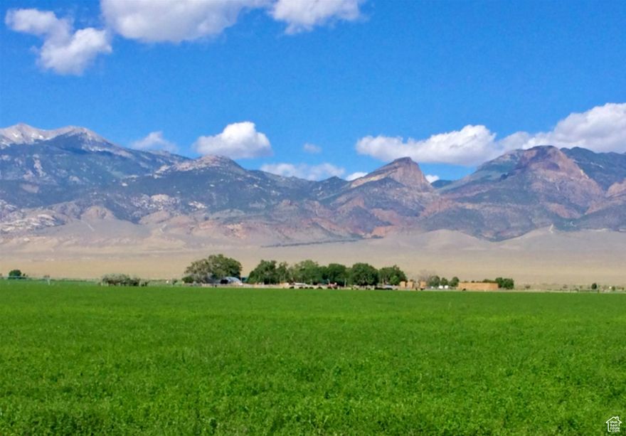 Massive farm & ranch assemblage that runs 5,600 sheep and 320 cows year-round on grazing permits, plus supports an additional 1,200 cows in the winter.  Deeded land totals 2,491 acres, of which over 1,200 acres is irrigated.  Includes twelve USFS, BLM, and SITLA grazing permits that control over 275,000 acres of grazing.  Improvements include 2 homes, agricultural buildings, feedlot, scales, and 4 sets of corrals.  All livestock and equipment can be purchased at its market value at closing, making this a true turn-key operation.  Incredible live water is found across the ranches, and large water rights and irrigation shares are included. Trophy mule deer, elk, and antelope also inhabit the ranch.