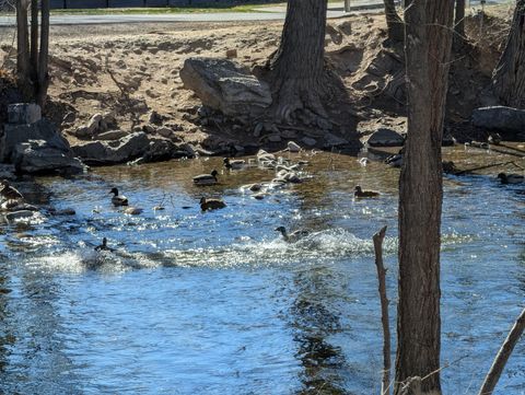 Tiny photo for 1524 W MERLIN DR, Provo, UT 84601 (MLS # 2144087)