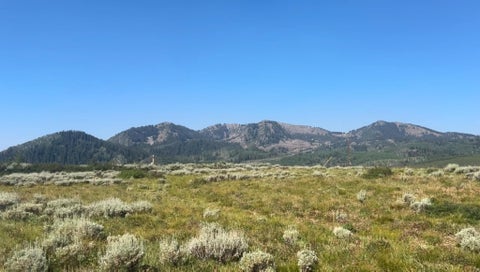 Vacant Land For Sale - 5465 N Lone Hill Dr #1  2<br/> Midway, UT 84049