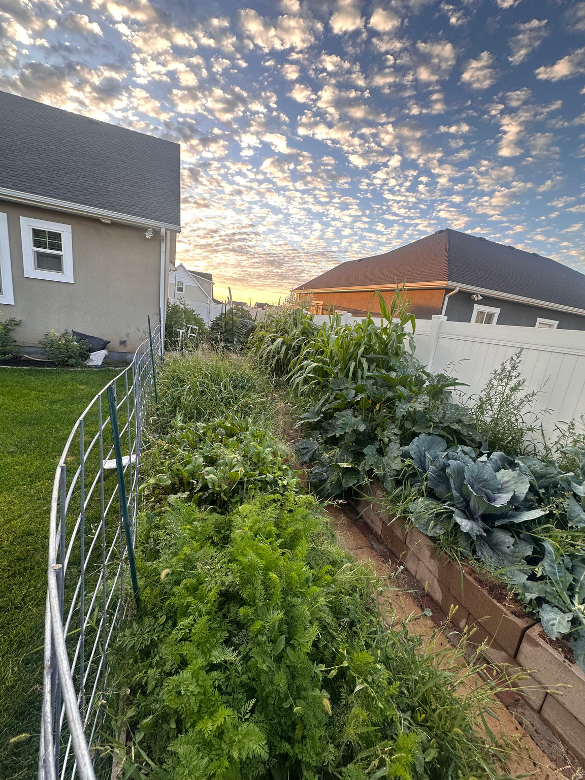 SUNRISE KNOLLS - Residential