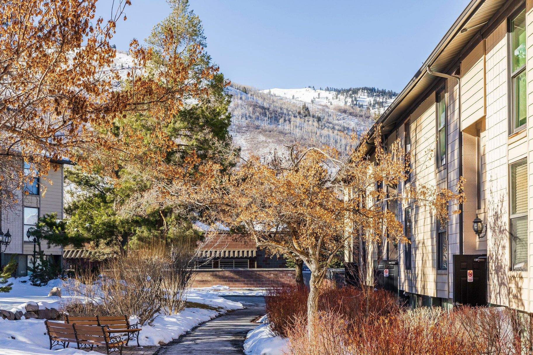SNOW COUNTRY - Residential