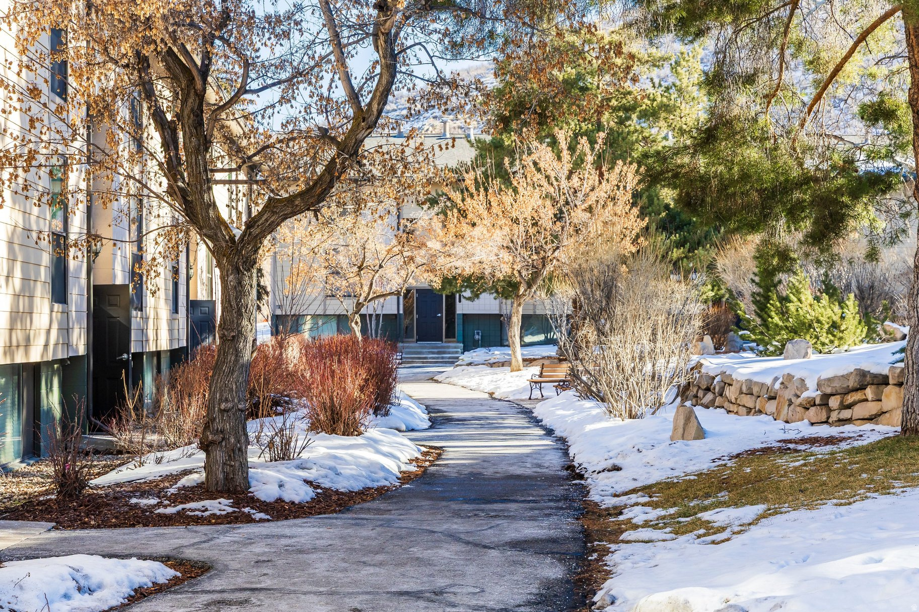SNOW COUNTRY - Residential
