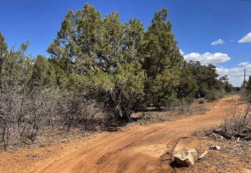 ZION RIDGE P.U.D. - Land