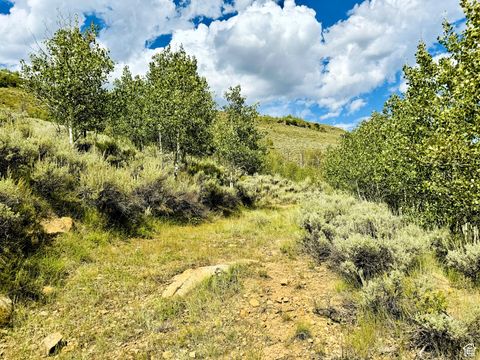Tiny photo for 6 ASPEN COVE DR #6, Scofield, UT 84526 (MLS # 2067775)