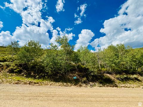 Tiny photo for 6 ASPEN COVE DR #6, Scofield, UT 84526 (MLS # 2067775)