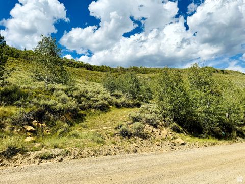 Tiny photo for 6 ASPEN COVE DR #6, Scofield, UT 84526 (MLS # 2067775)
