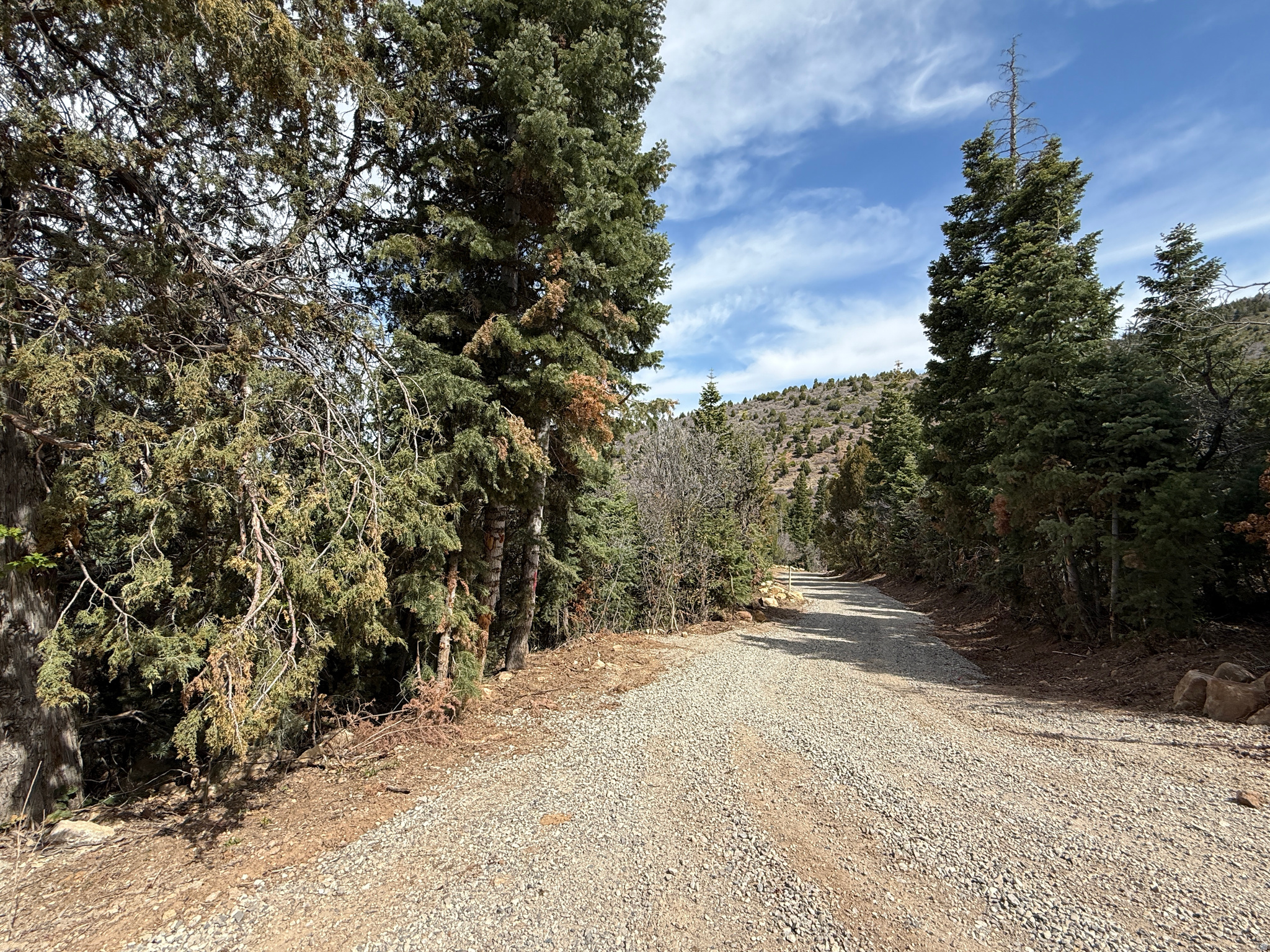 PINE CREEK RANCH - Land