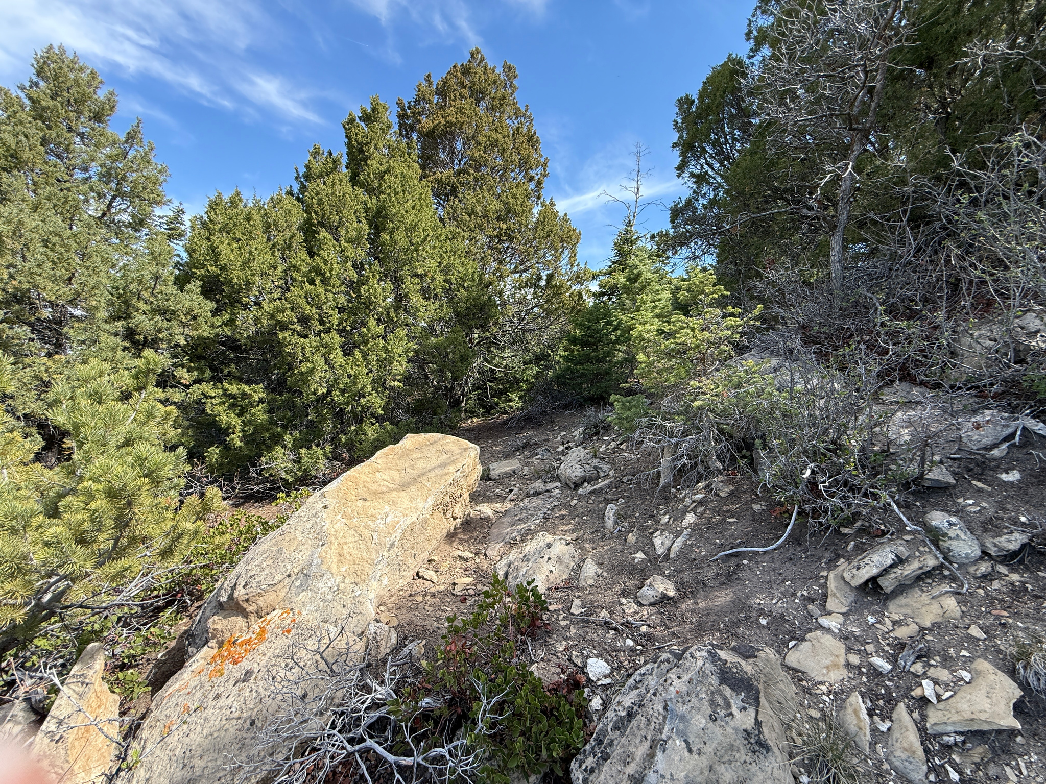 PINE CREEK RANCH - Land