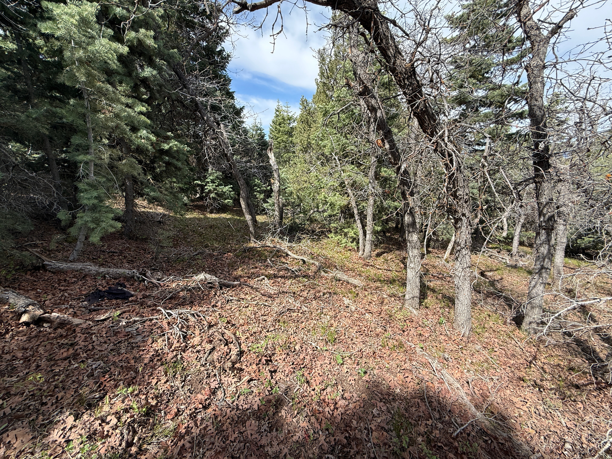 PINE CREEK RANCH - Land