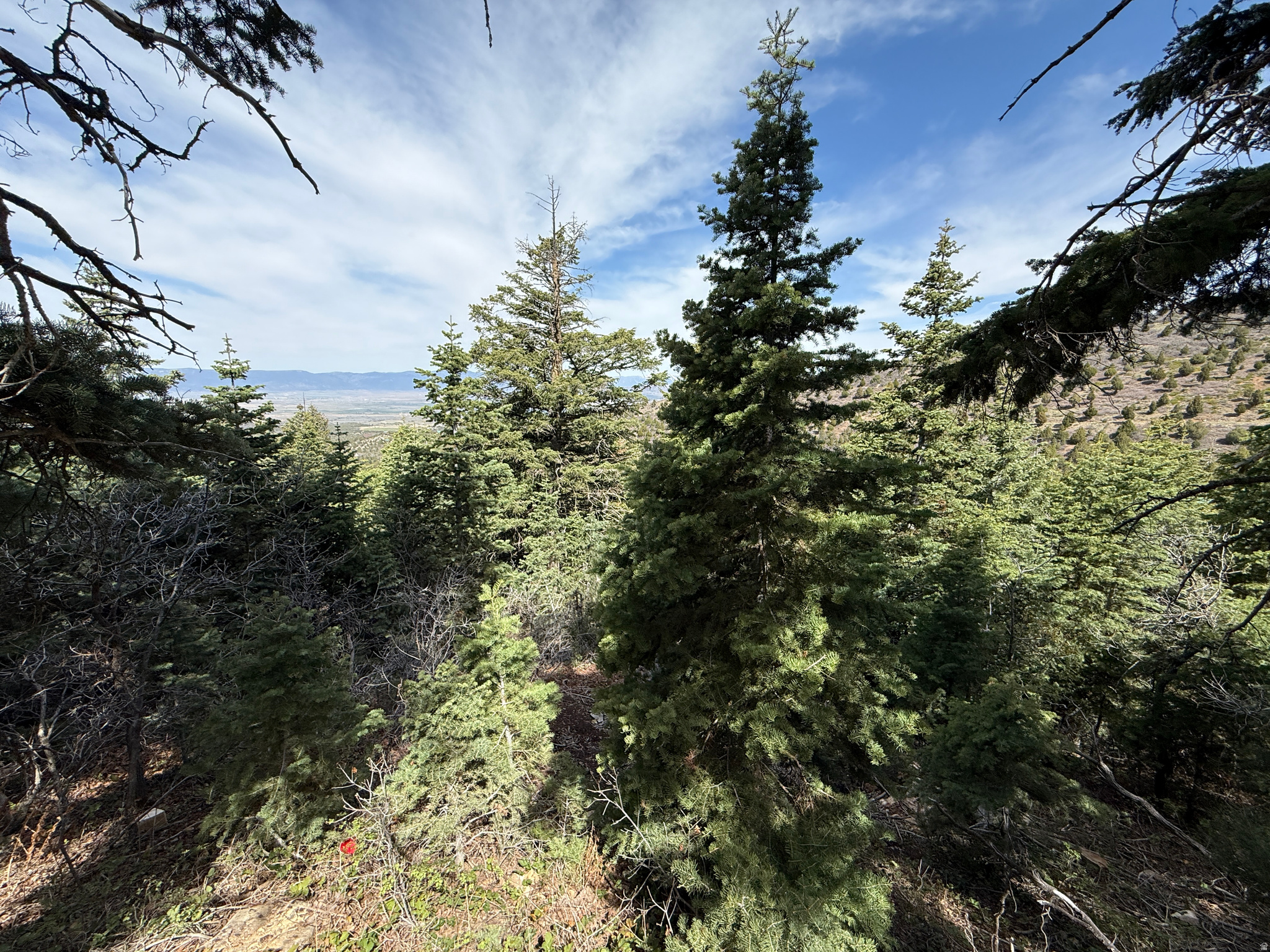 PINE CREEK RANCH - Land
