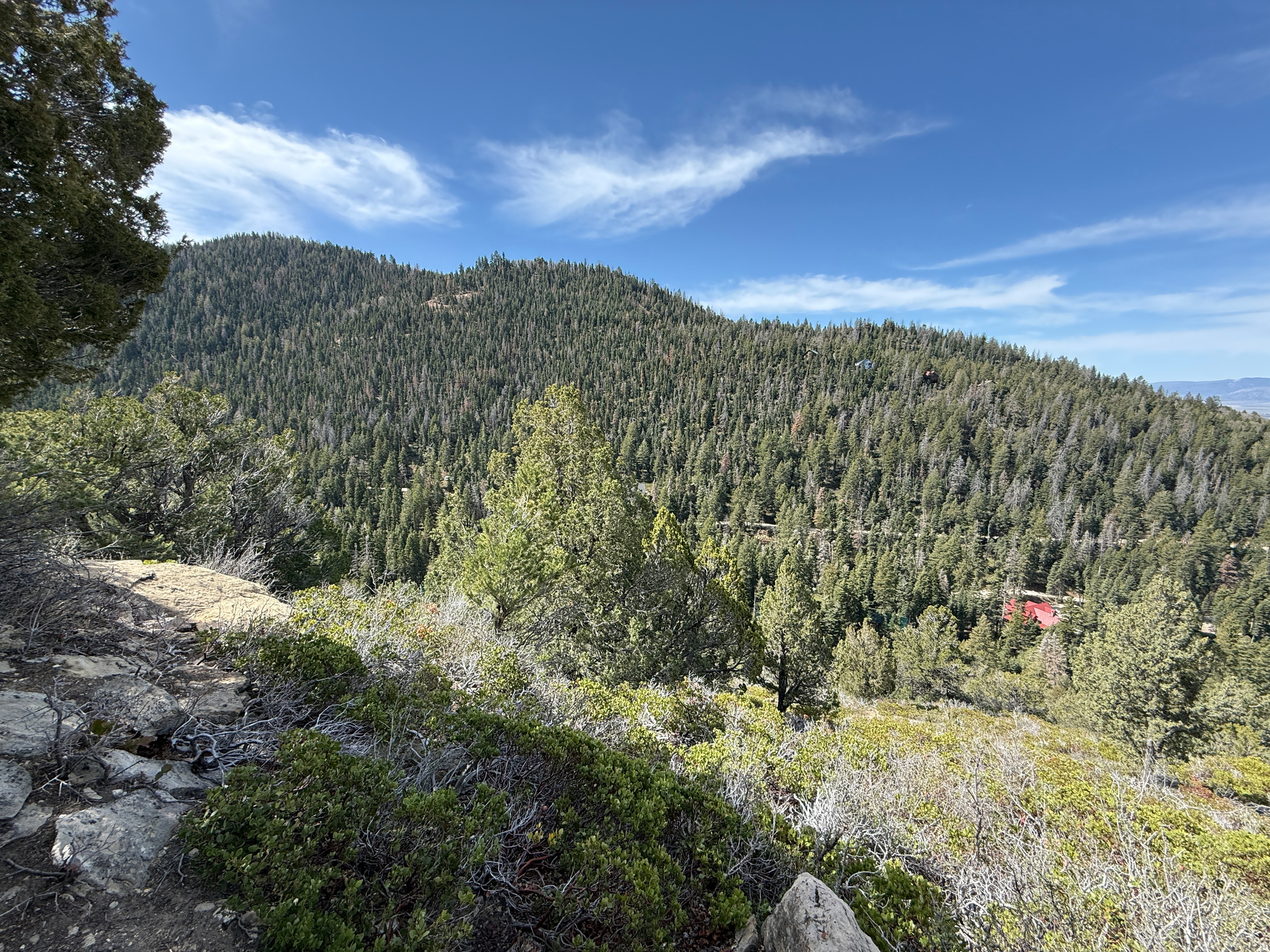 PINE CREEK RANCH - Land