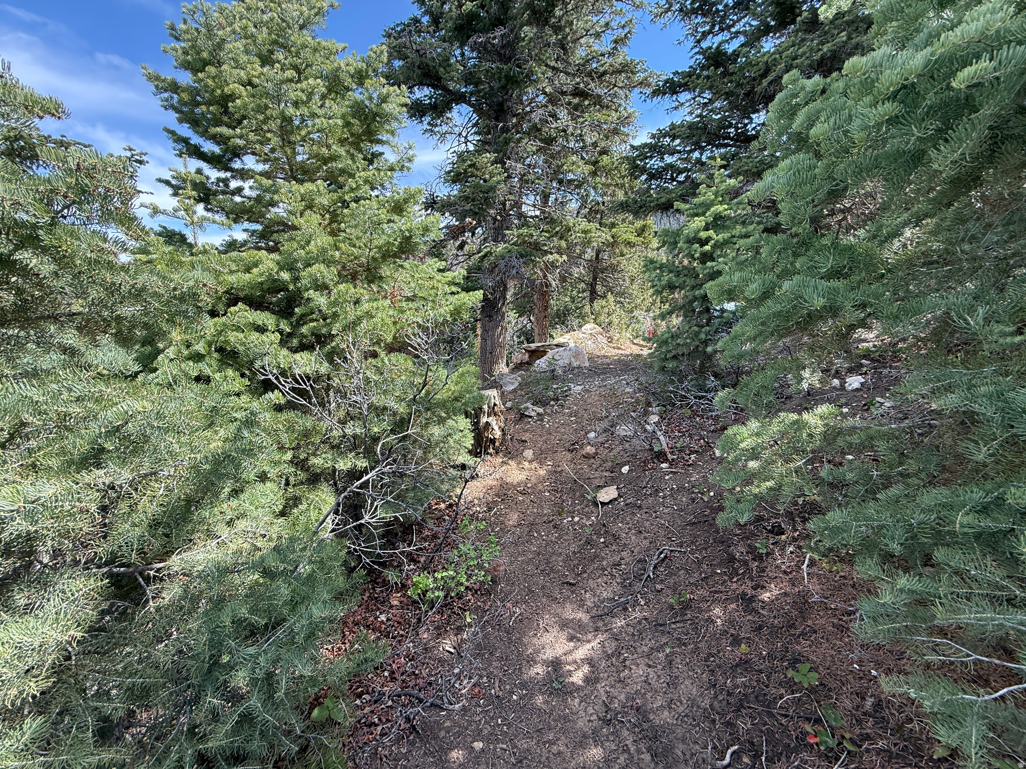 PINE CREEK RANCH - Land