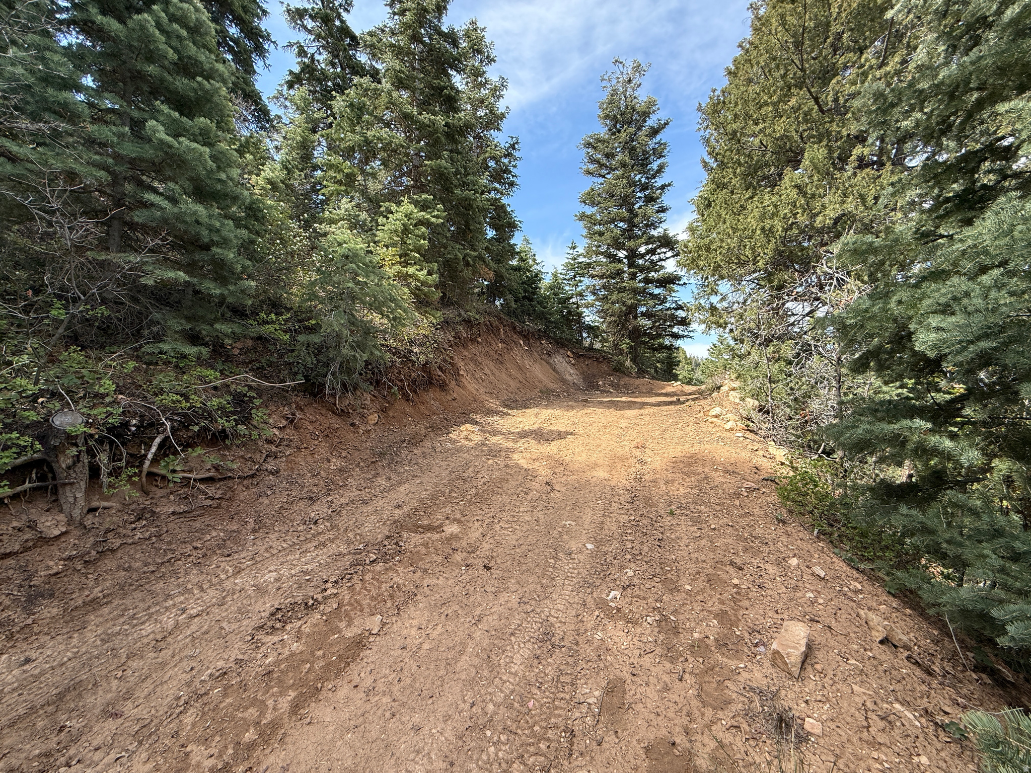 PINE CREEK RANCH - Land