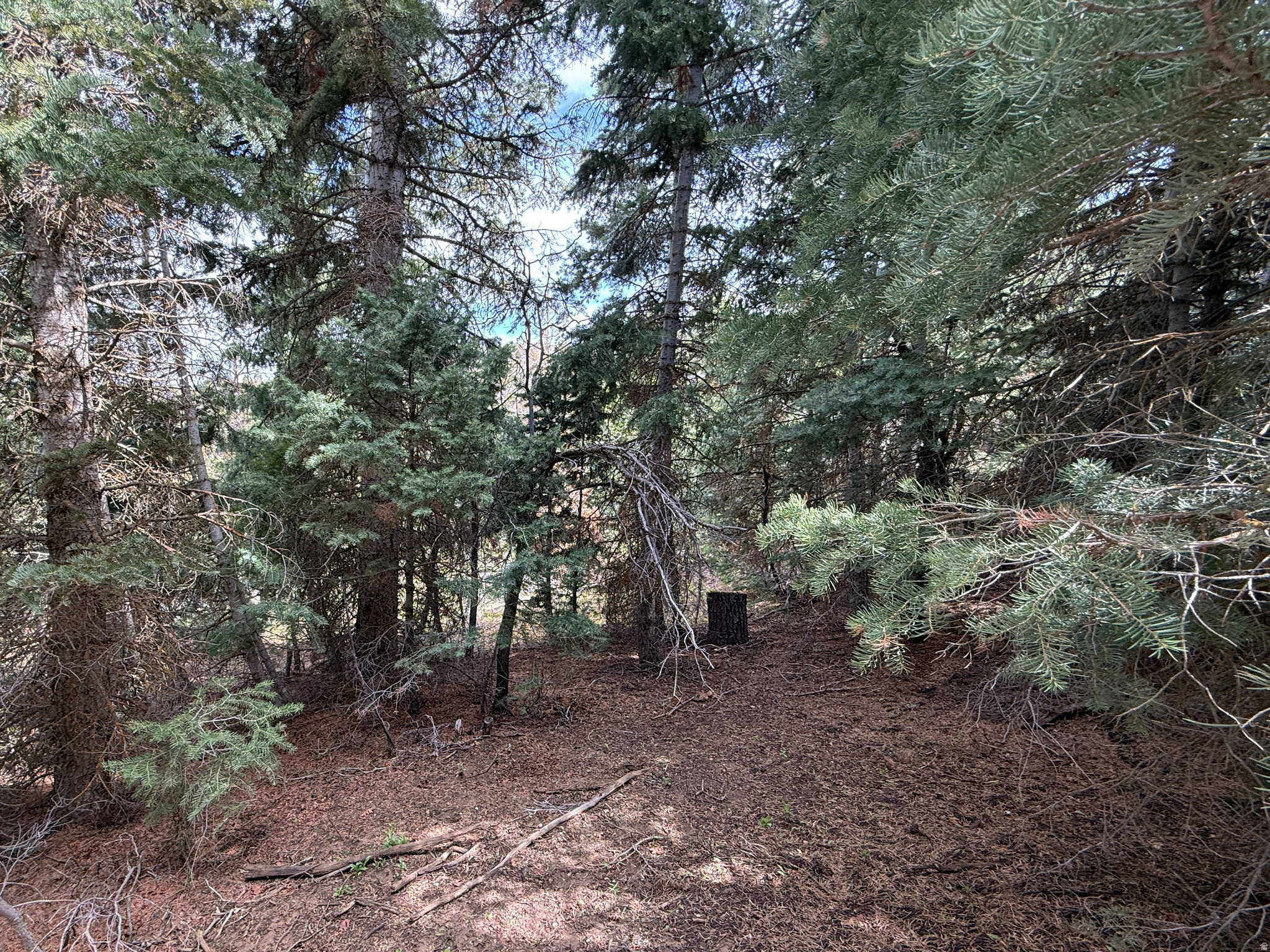 PINE CREEK RANCH - Land