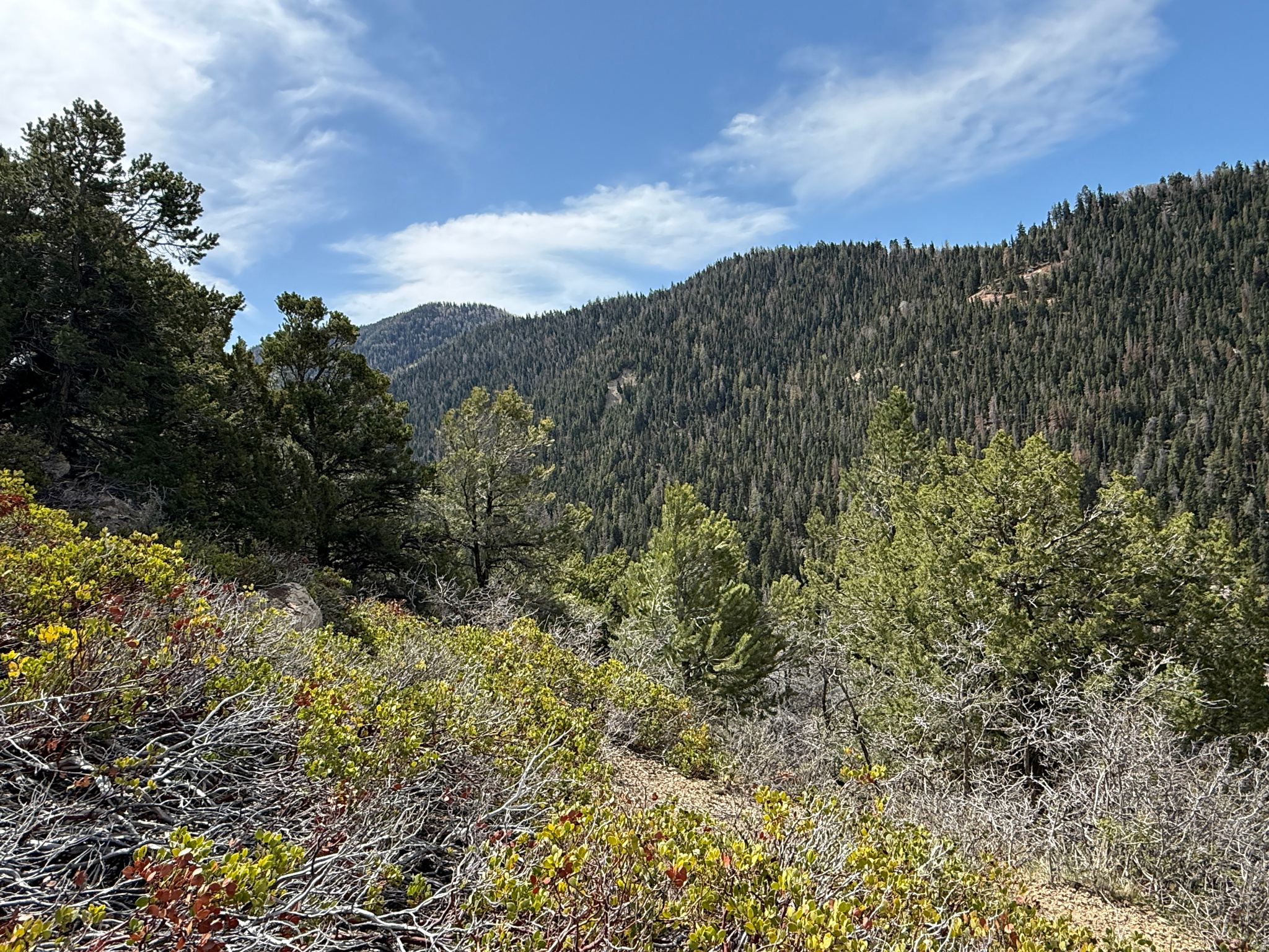 PINE CREEK RANCH - Land