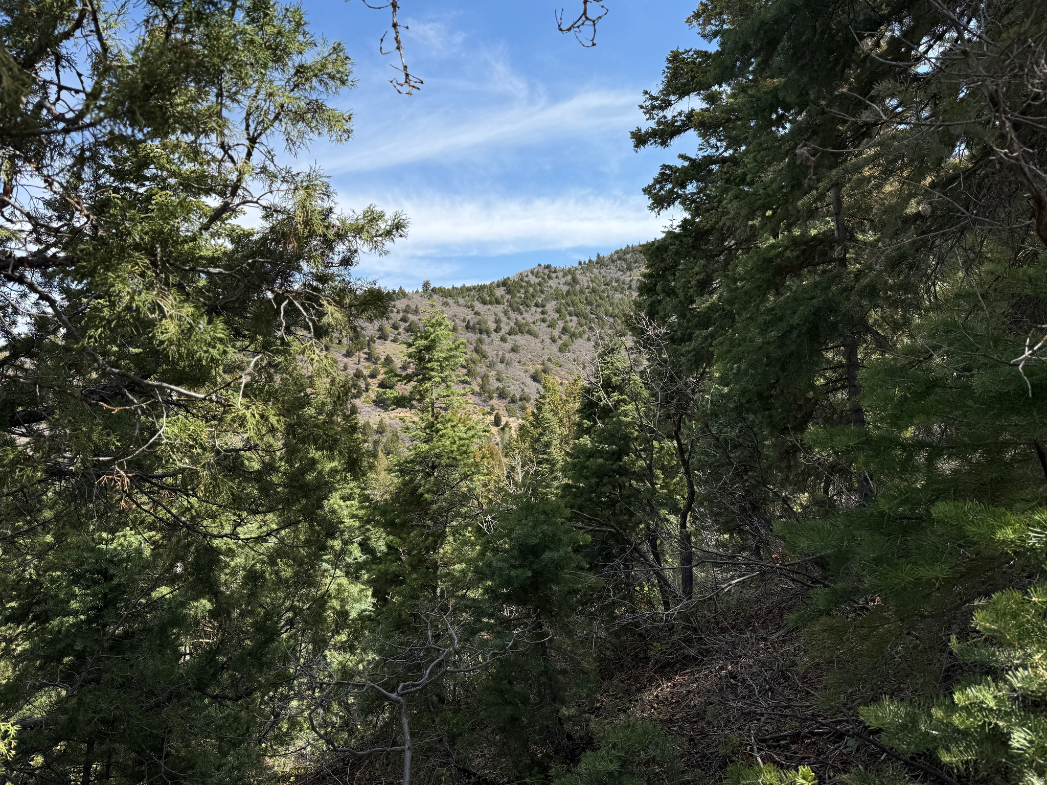 PINE CREEK RANCH - Land
