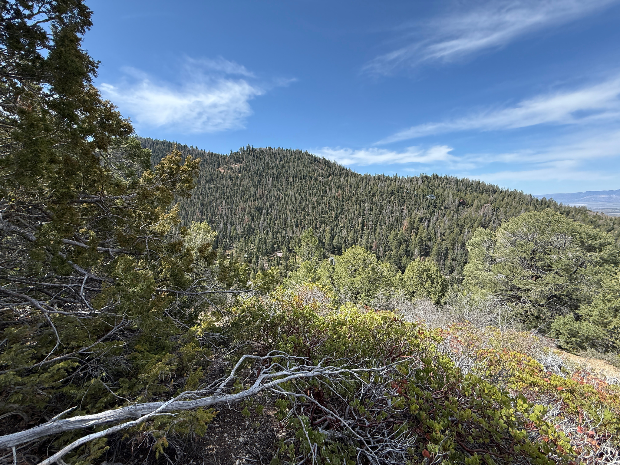 PINE CREEK RANCH - Land