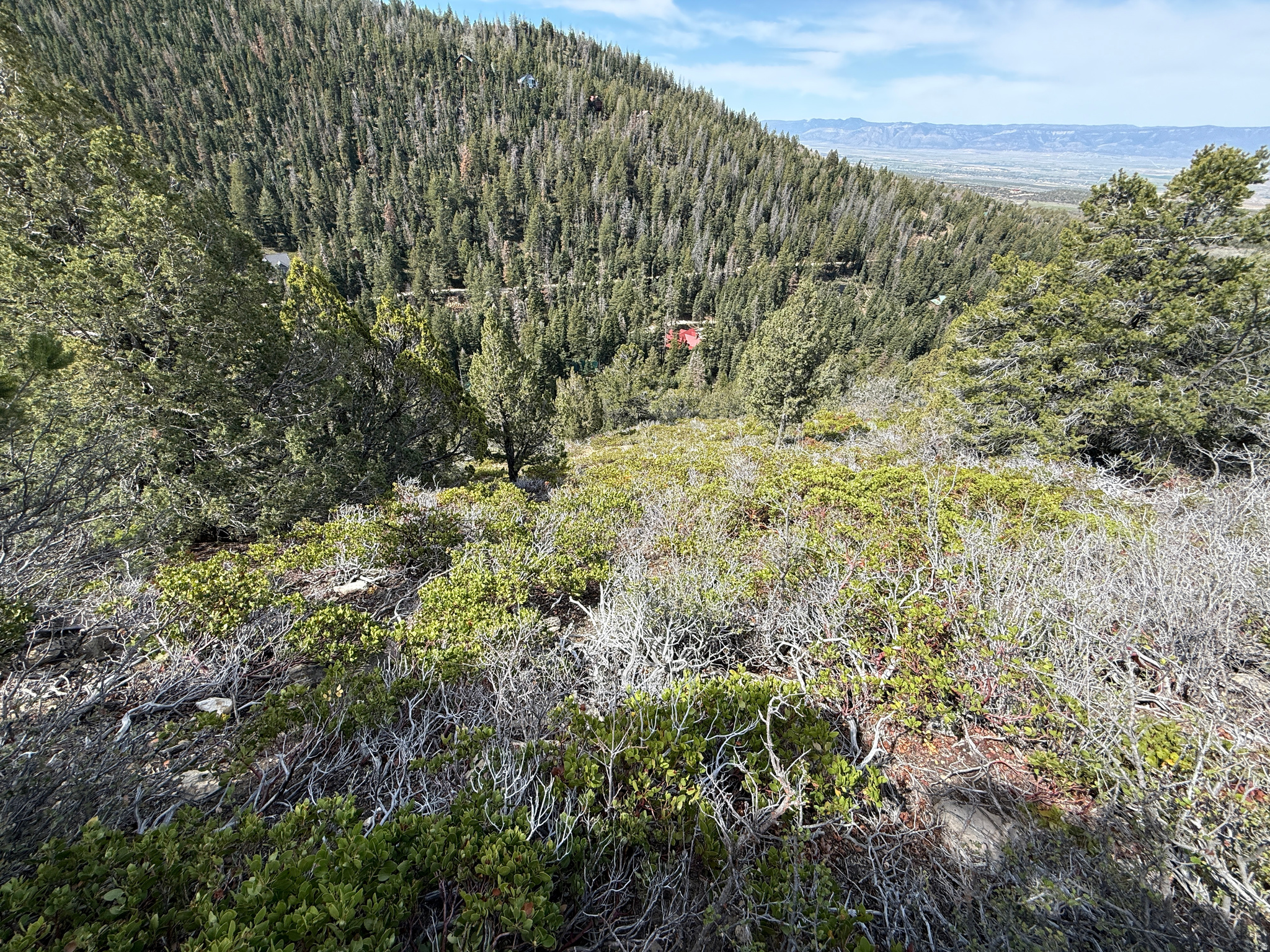 PINE CREEK RANCH - Land