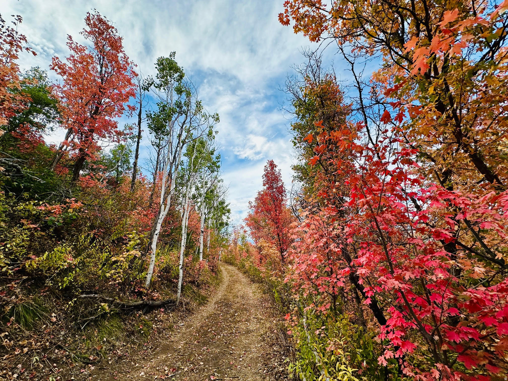 WOODLAND ESTATES PLAT A - Land