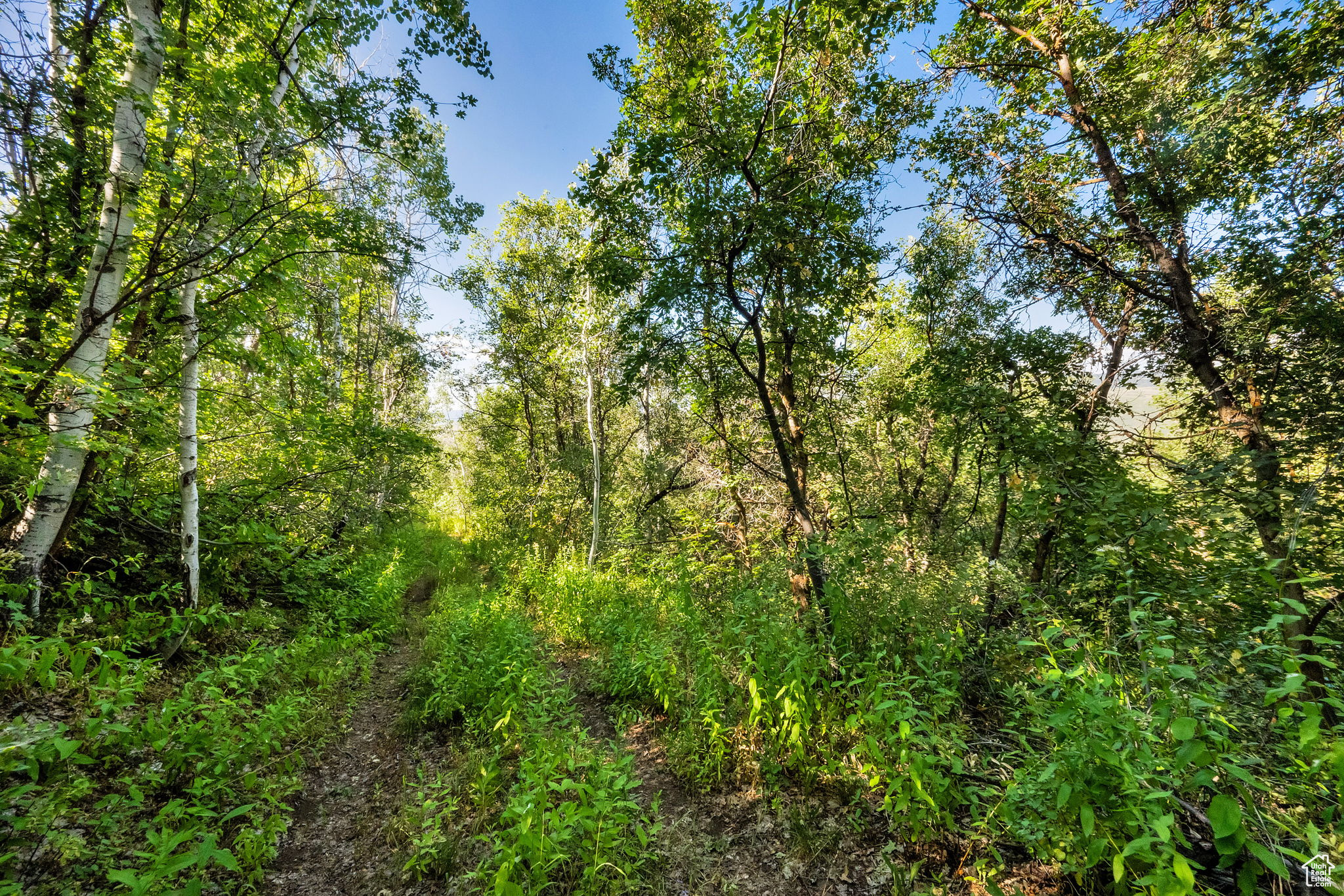 WOODLAND ESTATES PLAT A - Land