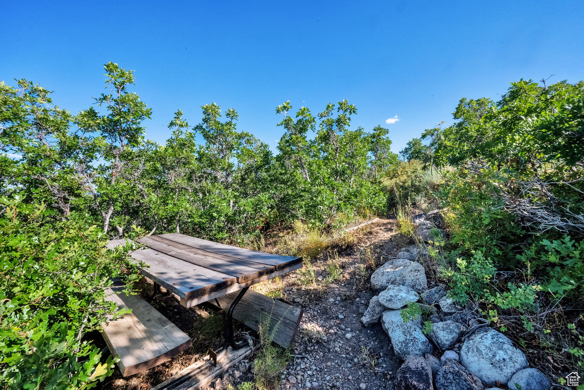 WOODLAND ESTATES PLAT A - Land