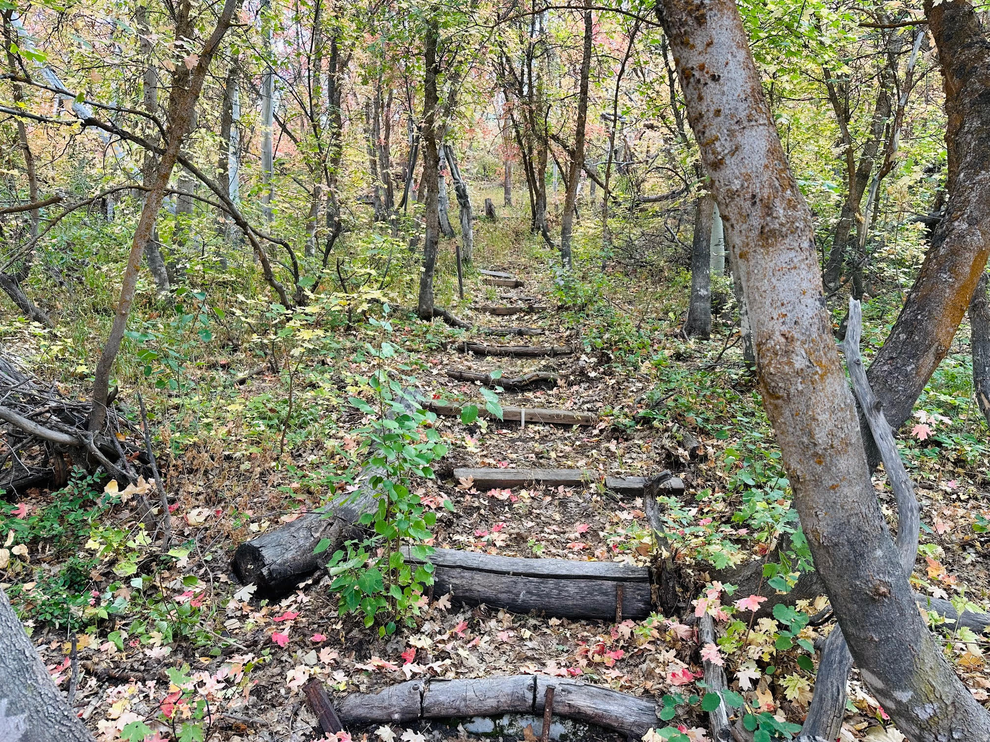 WOODLAND ESTATES PLAT A - Land